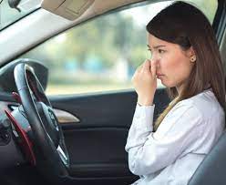 How often do i really need to get my car serviced? How Much Does It Cost To Have Your Car S Interior Cleaned Car Detailing Vaughan