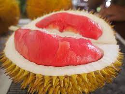 Pembayaran mudah, pengiriman cepat & bisa cicil 0%. Durian Merah Fakta Unik Dan Manfaatnya Yang Wajib Anda Tahu
