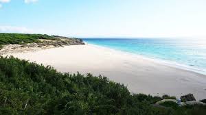 Playa de Arroyo Cañuelo en Zahara de los Atúnes. Información general de la playa y cómo llegar.