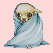 Chihuahua Wrapped In A Blanket T Shirts Hoodies By Katie Chihuahua Drawing Chihuahua Art Chihuahua Puppies