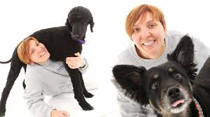 Vorsicht bei hunden mit lebererkrankungen. Tierarzteverlag Das Cushing Syndrom Gefahrliche Hormonstorung Beim Hund