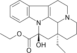 Image result for Voacanga chalotiana