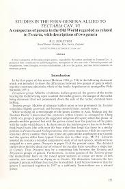 Image result for Megalastrum lanuginosum