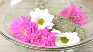We did not find results for: 4 Simple Ways To Preserve Flowers In A Jar Wikihow