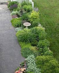 Neatly accent, separate and define your lawn and garden landscaping. Garden Forum Driveway Border Through The Seasons Garden Forum Landscaping With Rocks Garden Border Plants
