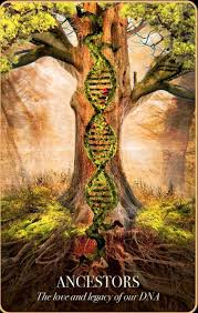 Halloween Oracle Ancestors Love Legacy Of Our Dna I Walk In Their Foot Steps Their Wisdom Inside Me Remains I Am Unique Oracle Cards Archangels Oracle