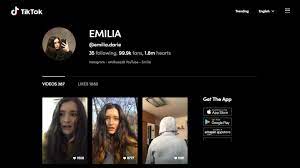 Petronela rotar la radio 3net. Ce Este Tiktok È™i De Ce Ar Trebui SÄƒ È™tii De El DacÄƒ Lucrezi In Marketing