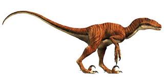 When You Tame This Mtf In The Day It'S The Slowest Dumbest Dino To Get Back  To Base And Can Go Unconscious If It'S Up… | Megalosaurus Tips | Dododex