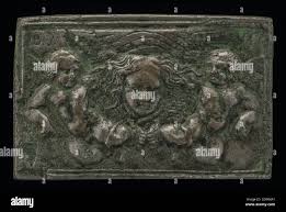 Image result for Centrostigma occultans