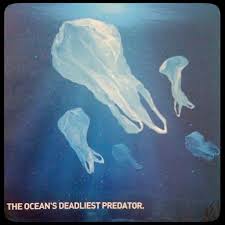 This Is One Of National Geographic S Posters To Raise Awareness About The Dangers Of Plastic Bags On Beaches Many Large Marine A Environmental Art Ocean Earth