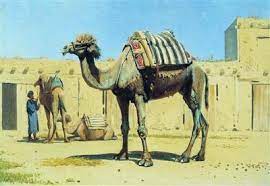 The two languages (speaking/spoken) in the country are english and. The Three Princes Of Serendip And The One Eyed Camel Multo Ghost