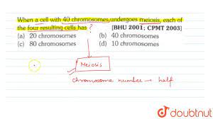 Check spelling or type a new query. When A Cell With 40 Chromosomes Undergoes Meiosis Each Of The Four Resulting Cells Has Youtube