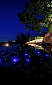 Swimming Pool At The Paresa Phuket Thailand Lit Up By Hundreds Of Lights At Night Totally Dreamlike Pool Landscaping Swimming Pools Landscape Lighting