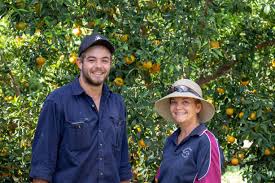 227 подписчиков, 124 подписок, 213 публикаций — посмотрите в instagram фото и видео sue meredith (@flowers_by_susan_). Meet The Jamesons Of Waitemata Orchard Gayndah Blog