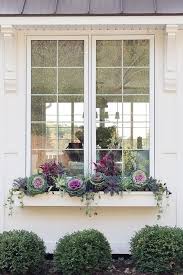 Purple And Burgundy Fall Window Boxes Fall Window Boxes Window Box Flowers Fall Windows
