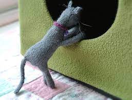 Knit & purl pets by claire garland. Cat Knitted Box Looking In Vuchickens