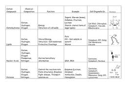 Macromolecules Comparison Chart Related Keywords