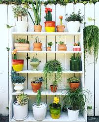 Bookcase Vertical Garden Justina Blakeney Plants Vertical Garden Garden Shelves