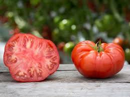 Graines Pepins Et Noyaux Comment Les Faire Germer Graine De Tomate Faire Germer Des Graines Cœur De Bœuf