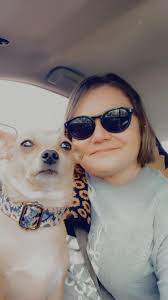 What anti-itch antibiotic ointment is recommended for dog skin allergies?