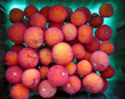 We did not find results for: Strawberry Tree Fruit Jelly Garden Kitchen