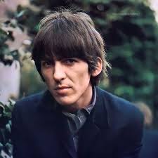 Pin by Lara Harrison