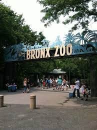 Bronx Zoo Bronx Park Bronx Ny Bronx Zoo Bronx New York City Attractions