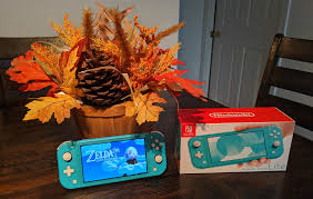 It with turbo function,it can set up auto. Nintendo Switch Lite Review Best Buy Blog