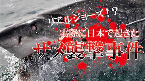 日本で実際に起きた『ジョーズ』さながらのサメ襲撃事件【瀬戸内海サメ襲撃事件】 | Board-Gill
