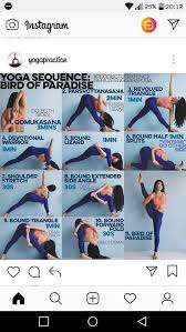 Sequence To Bird Of Paradise Bird Of Paradise Yoga Yoga Sequences Power Yoga Workout