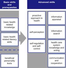Concept Mapping As An Approach For Expert Guided Model Building The Example Of Health Literacy Sciencedirect