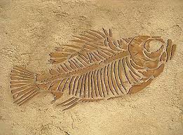 Detailed Fish Fossil Stencil Awesome Sturdy Stencils For Wall Decor Great Prices Metal Tree Wall Art Tree Wall Decor Tree Wall Art Diy