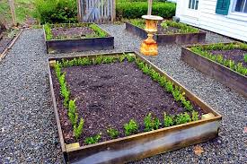 Do not sell my personal information; How I Propagate Boxwood Kevin Lee Jacobs