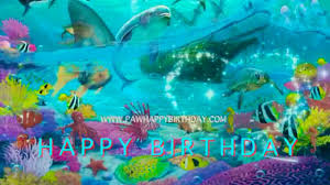 Behind each of the 3 doors is an idyllic land: Gold Fish Meets Ocean Happy Birthday Video Postcard Youtube