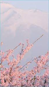 Bouquet of pale pink peonies in kraft paper closeup. Free Download Sakura Wallpaper Tumblr Aesthetic Backgrounds Pastel Pink 1047x1862 For Your Desktop Mobile Tablet Explore 32 Aesthetic Backgrounds Aesthetic Wallpaper Aesthetic Wallpapers Cute Aesthetic Wallpapers