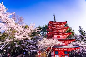 600 bc by settlers from the mainland, who adopted an imperial system of government modeled on china's. Spring In Japan Traveling Clothing And Weather In March May Matcha Japan Travel Web Magazine