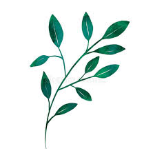 The images have a transparent background. Transparent Greenery Stock Illustrations 1 009 Transparent Greenery Stock Illustrations Vectors Clipart Dreamstime
