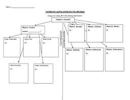 Vertebrate And Invertebrate Classification Chart