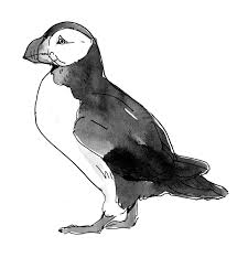 Collection by ana maria i. Animal Drawings On Behance