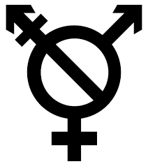 There are many variations of the transgender flag, and many more have been created throughout the years. File Transgender Symbol Png Wikipedia