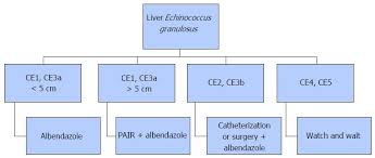 Check spelling or type a new query. Current Status Of Diagnosis And Treatment Of Hepatic Echinococcosis