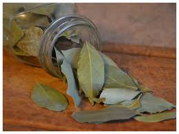 Check spelling or type a new query. 7 Effective Benefits Of Bay Leaves That You Need To Know The Times Of India