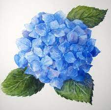 Step By Step Watercolor How To Paint A Blue Hydrangea Everyday Artist Watercolor Flowers Tutorial Flower Painting Hydrangea Painting