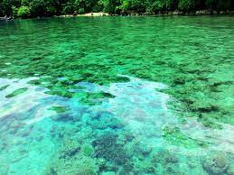 Wisata teluk biru banyuwangi map berlokasi di taman nasional alas purwo. Teluk Banyu Biru Keindahan Bawah Laut Tersembunyi Di Jawa Timur Jawa Timur