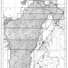 Image result for Allophylus lastoursvillensis