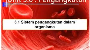 Kepentingan sistem pengangkutan kepada sesetengah organisma multi sel. Sains Ting 3 Bab 3 1 Pengangkutan Sistem Pengangkutan Dalam Organisma Youtube