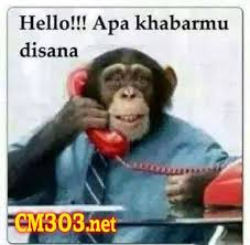 Pin Di Gambar Meme Lucu