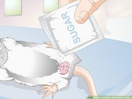 No, it will not, but it will make your sperm have a better taste. How To Make Your Mouse S Penis Taste Better Disneyvacation
