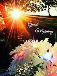 This is a super simple flower wall diy and vlog. 818 Nature Good Morning Images Photos Flowers Pictures Good Morning Happy Sunday Good Morning Greetings Good Morning Flowers