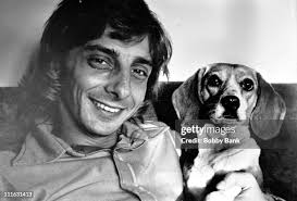 67 Bagel Dogs Stock Photos, High-Res Pictures, and Images